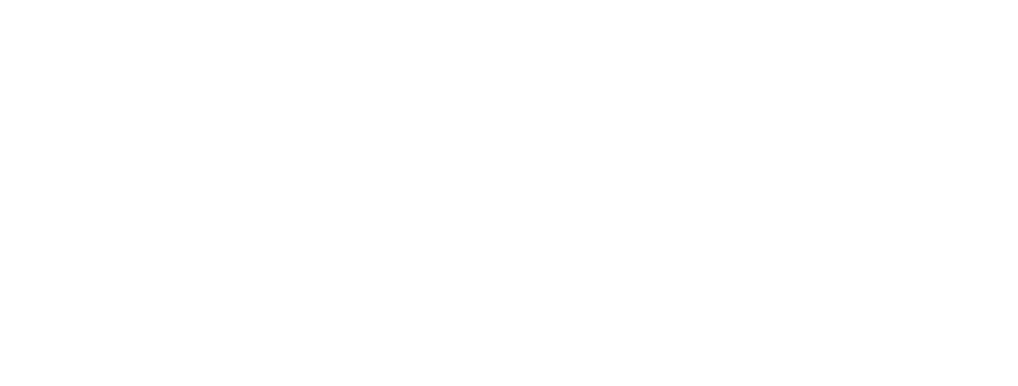 Logo of Lachlan Shire Council